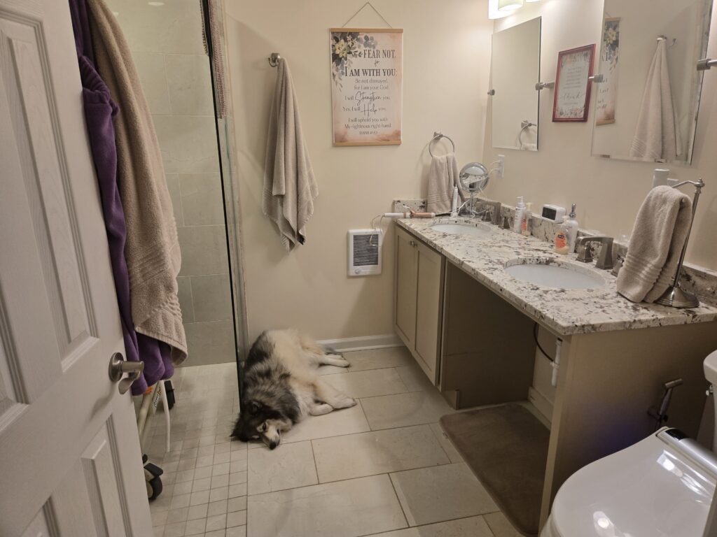 Bathroom remodel